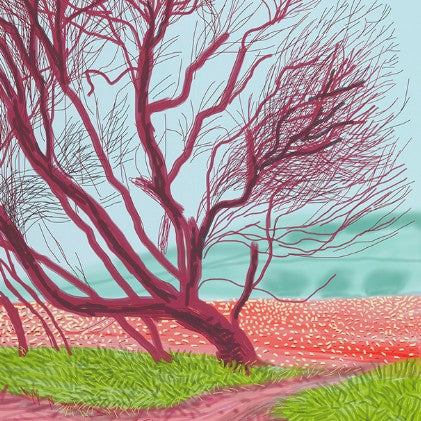 David Hockney Artwork