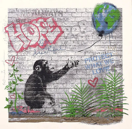 Mr Brainwash