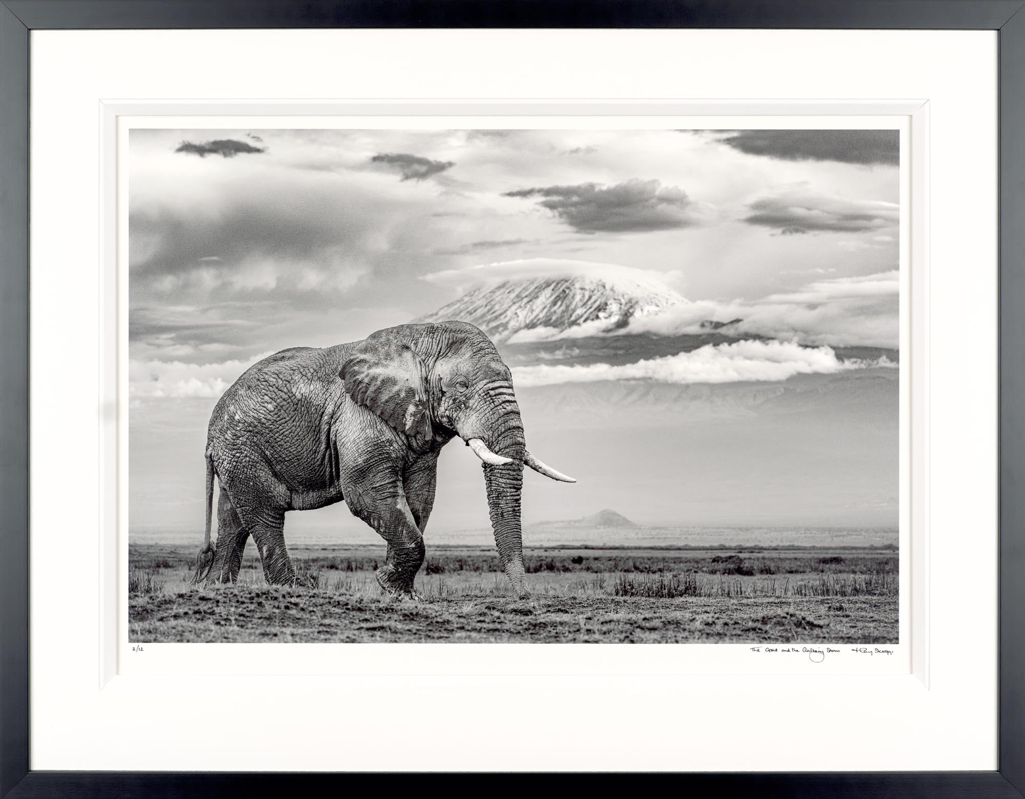 The Giant And The Gathering Storm