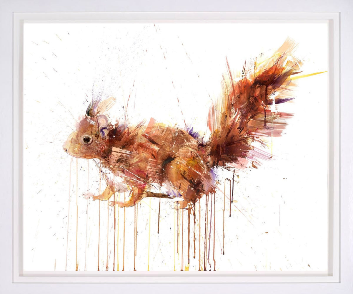 Baby Red Squirrel