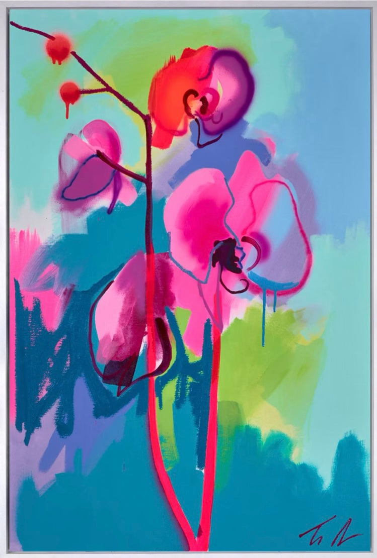 Pink Phalaina