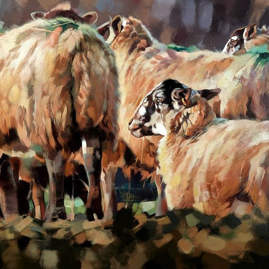 Evening Flock