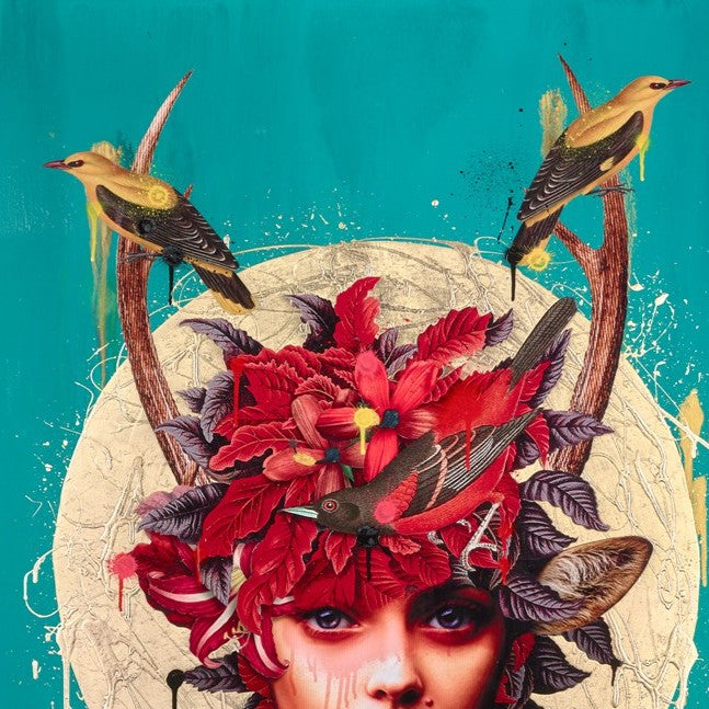 Fawn II