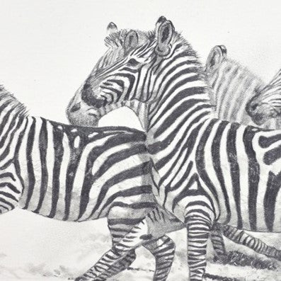Stripes