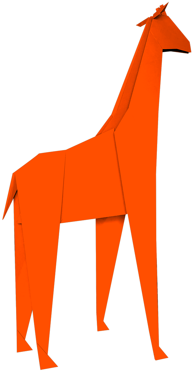 Imagiro Giraffe - Orange 2024