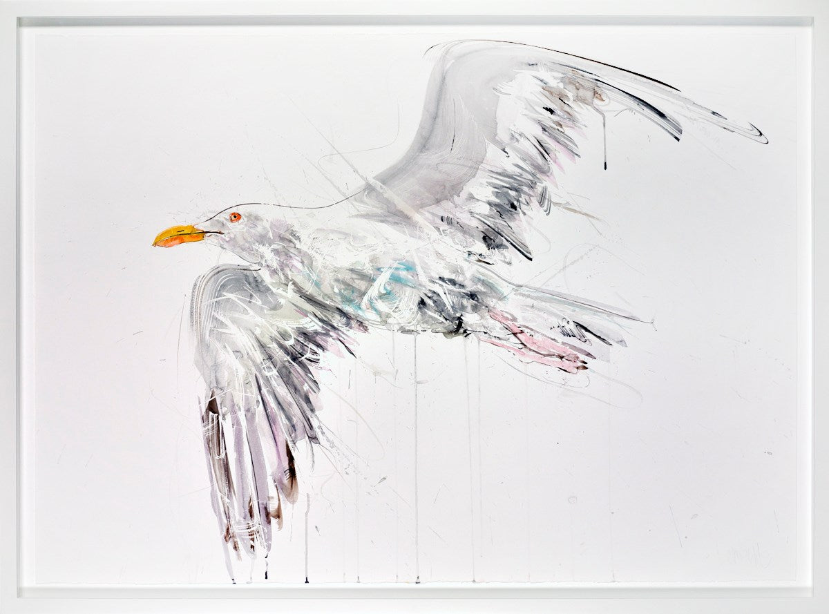 Seagull