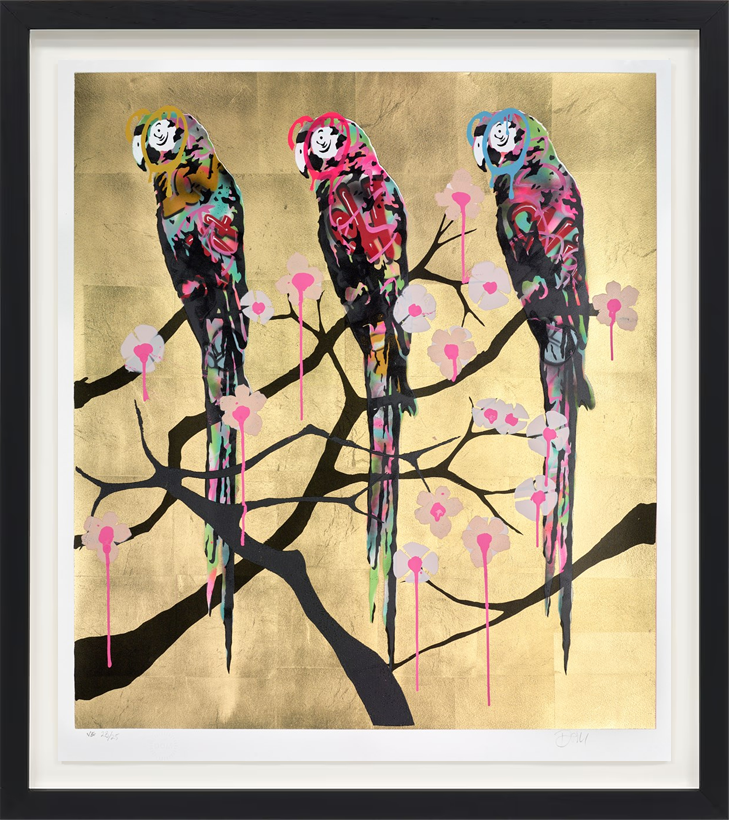 Polly Folly 23/25