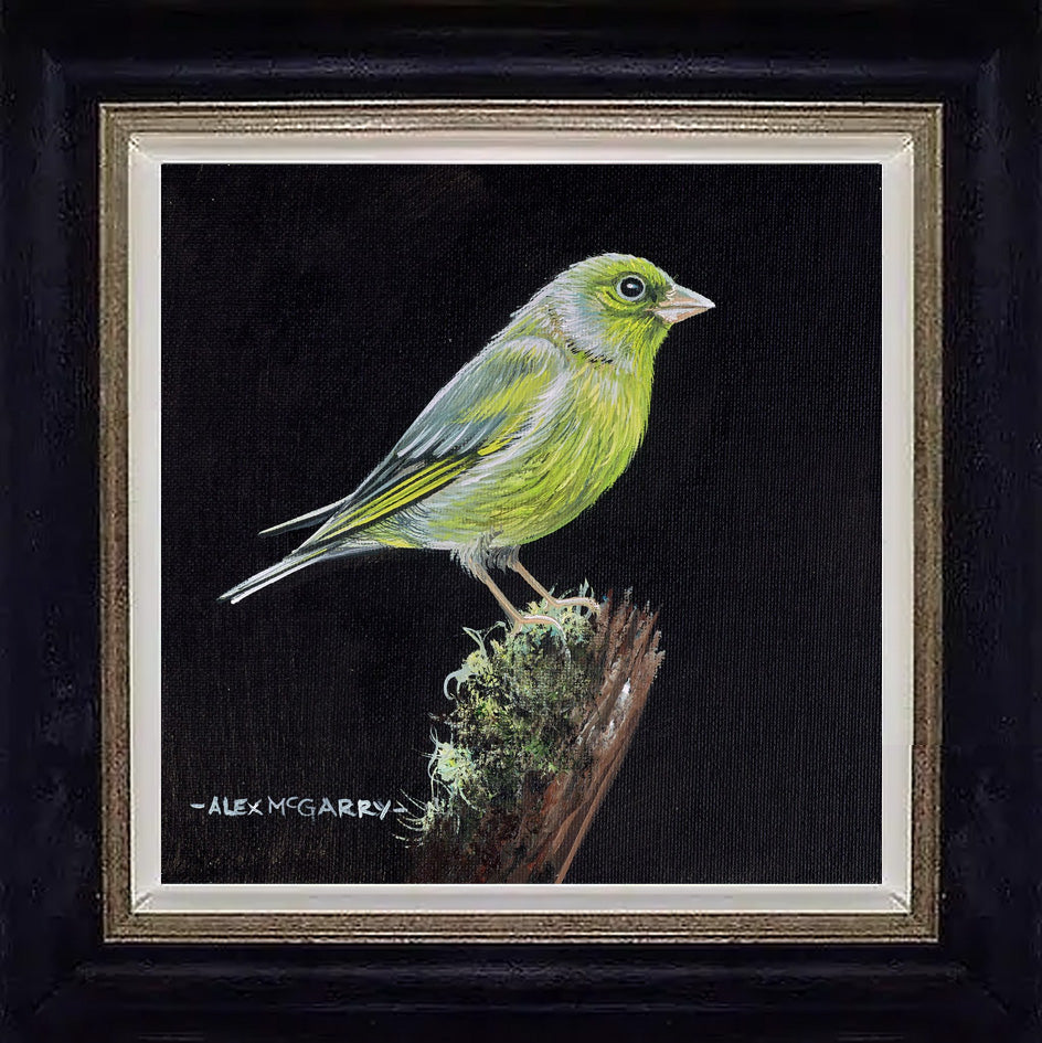 Greenfinch