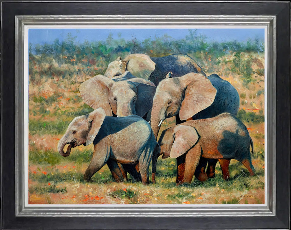 Elephant Evening