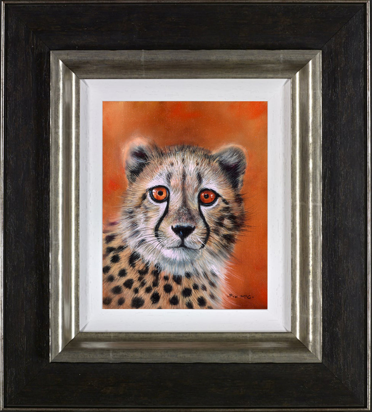 Cheetah Cub