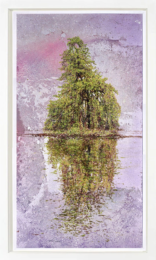 Weeping Willow Reflection