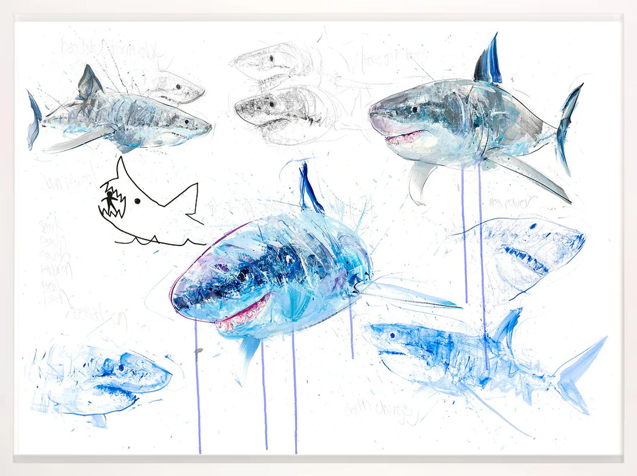 Great White Study Sheet