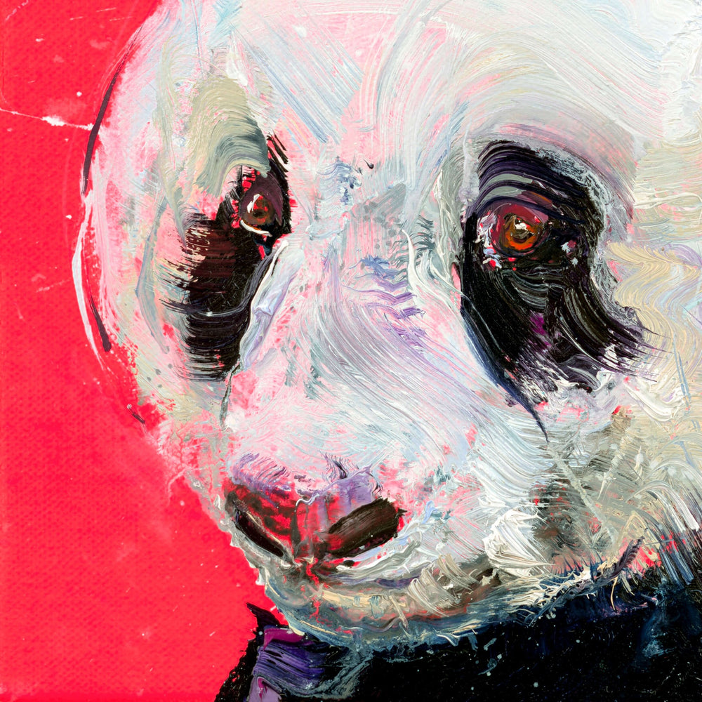 Panda II