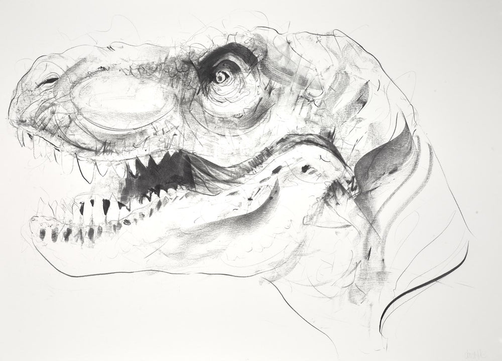 T Rex IX