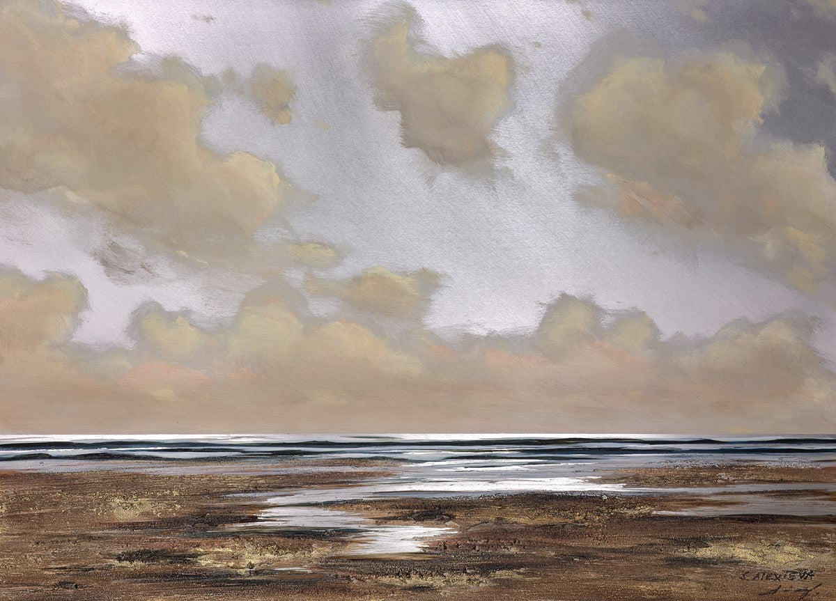 Luminous Coast