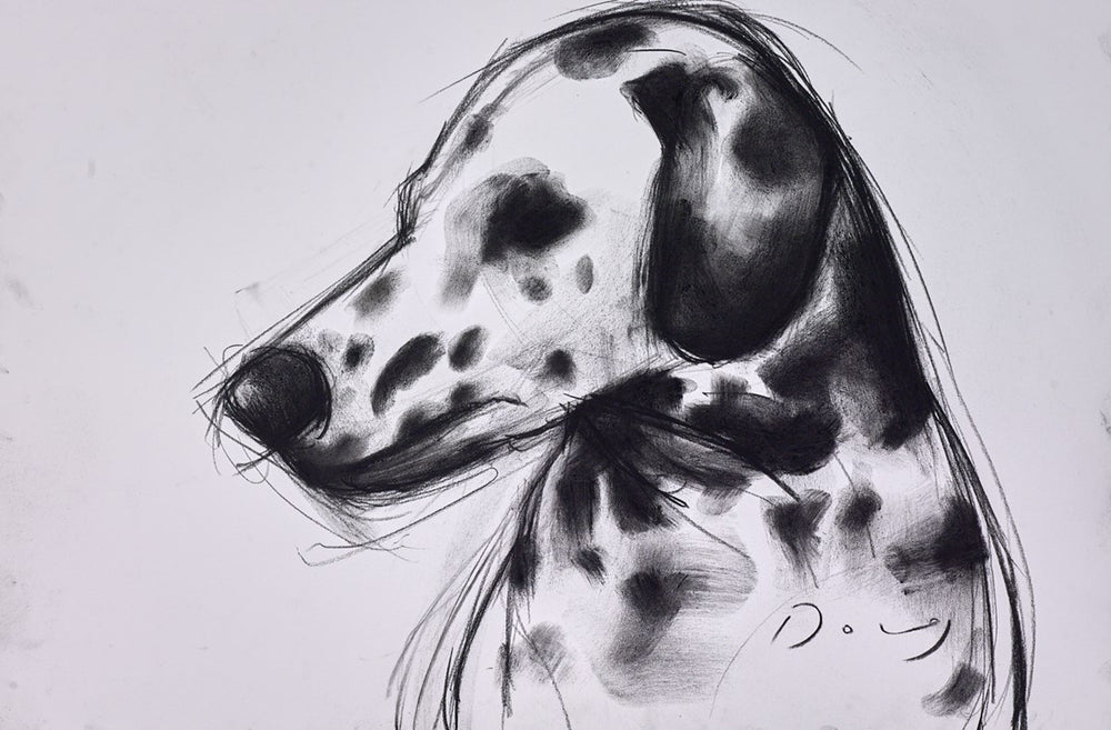 The Dalmation