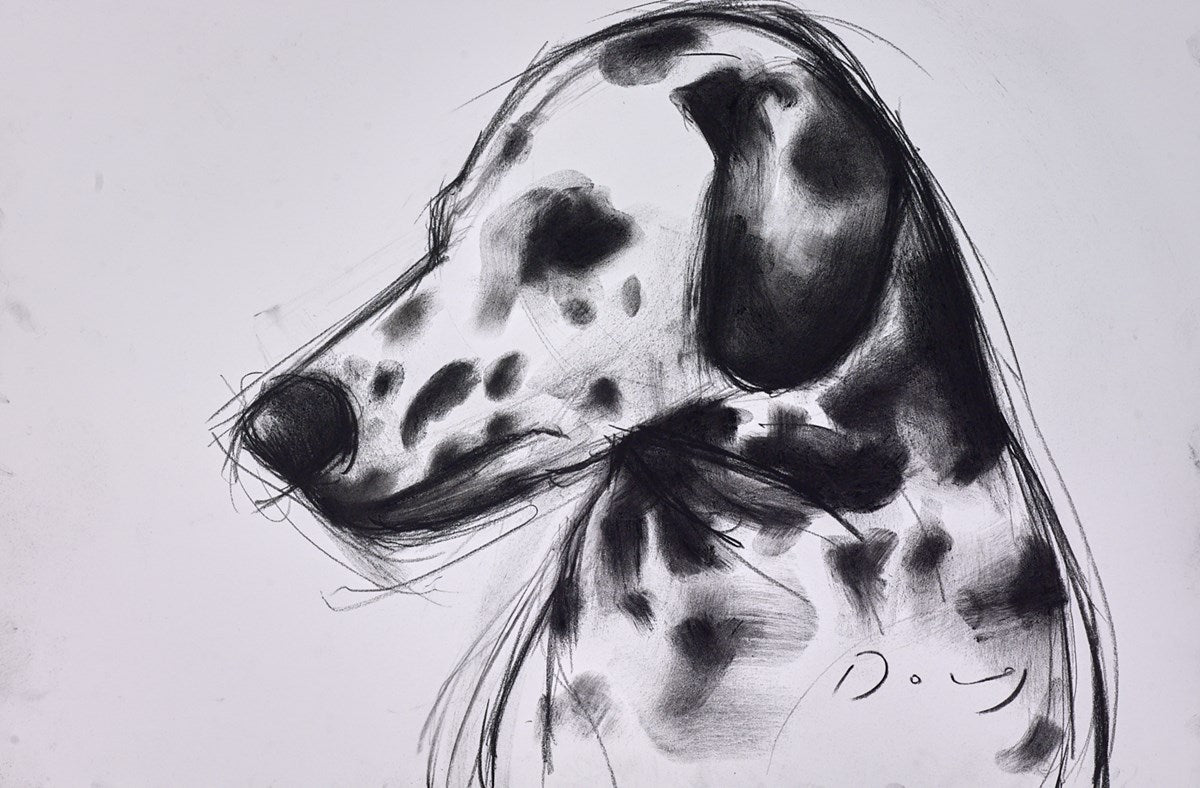 The Dalmation