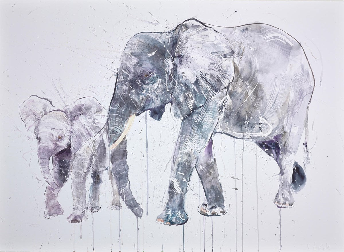 Elephant and Calf