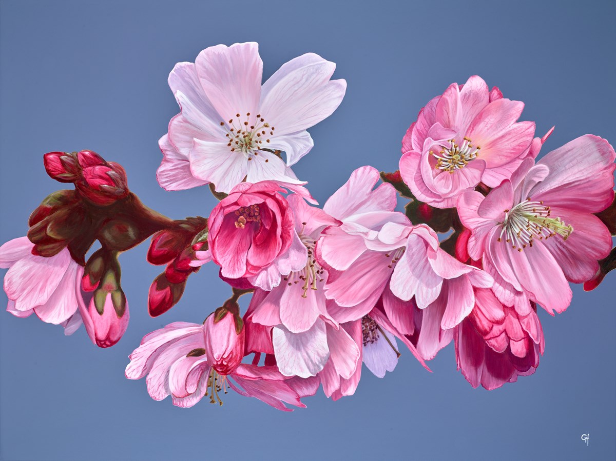 Blossoms