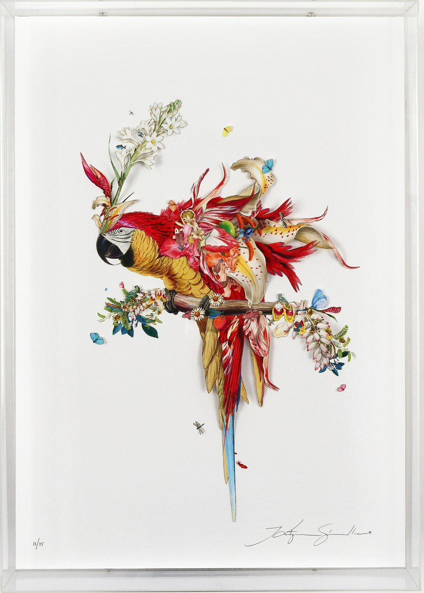 Botanical Harry Gin Bird II (Framed)