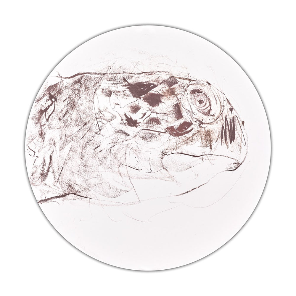 Sea Turtle Sketch I
