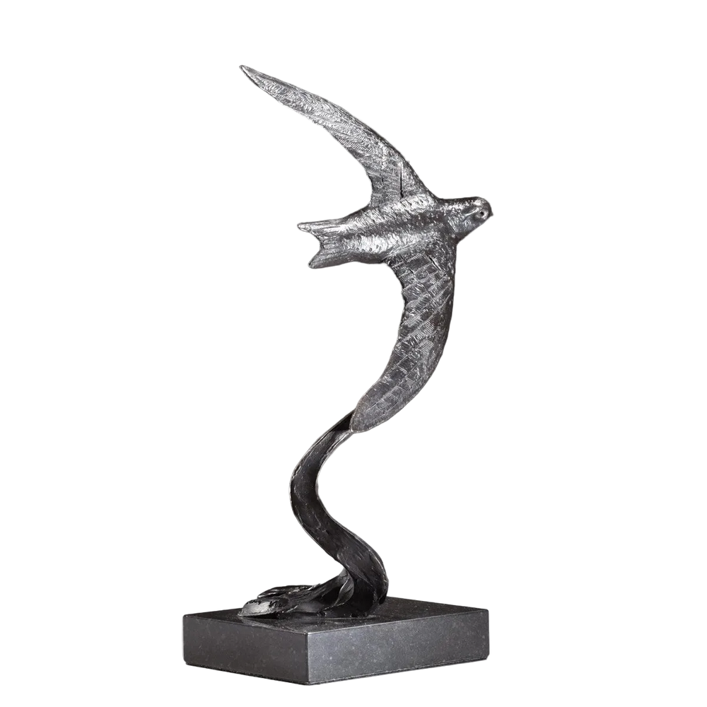 Swift Swooping - 2019