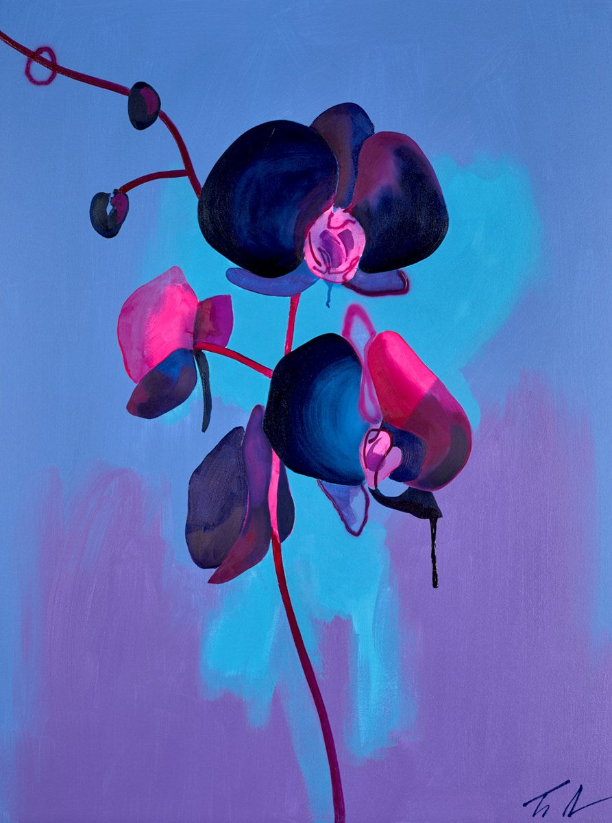 Black Orchid