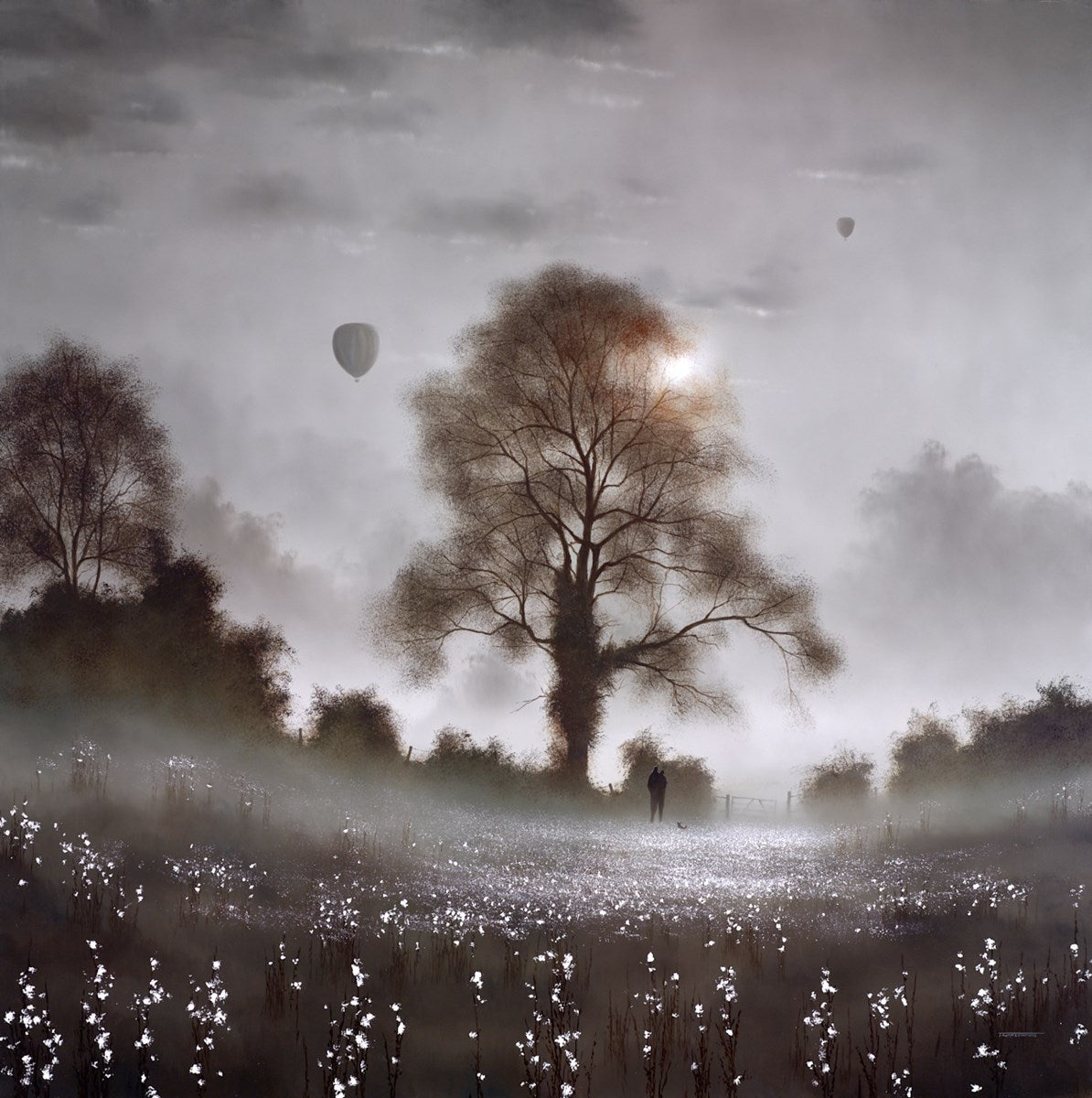 This Enchanted Dawn