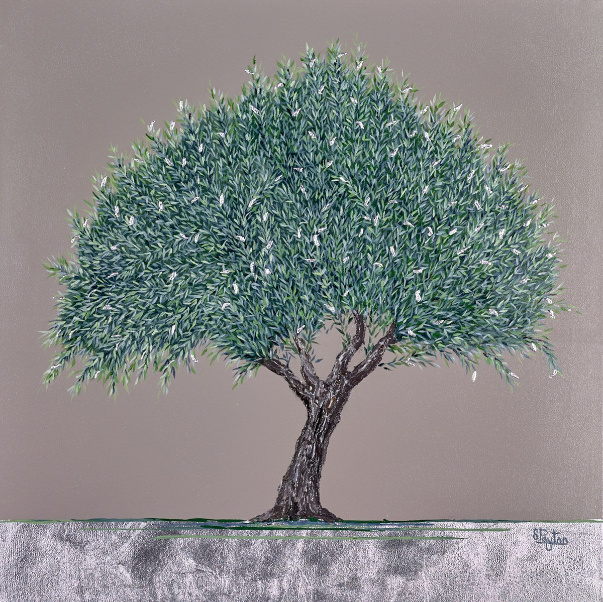 Olive Tree