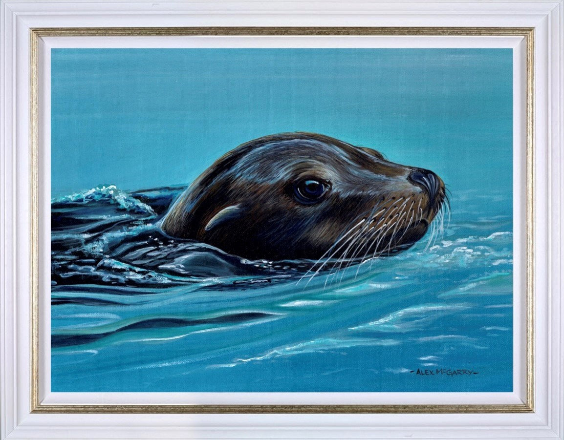 Gone For a Swim (Framed)