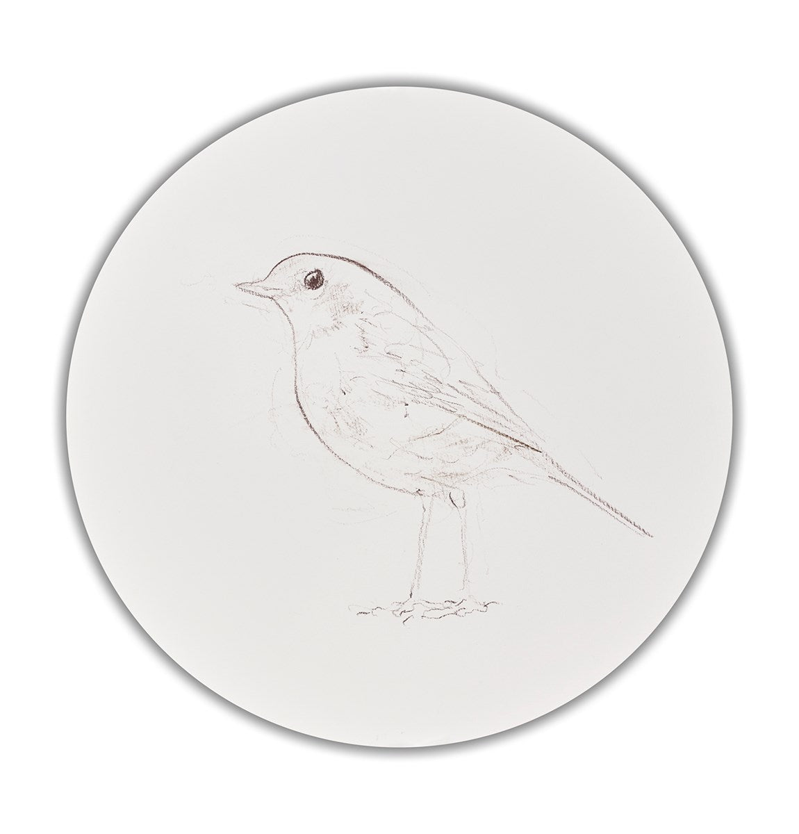 Robin Sketch VIII