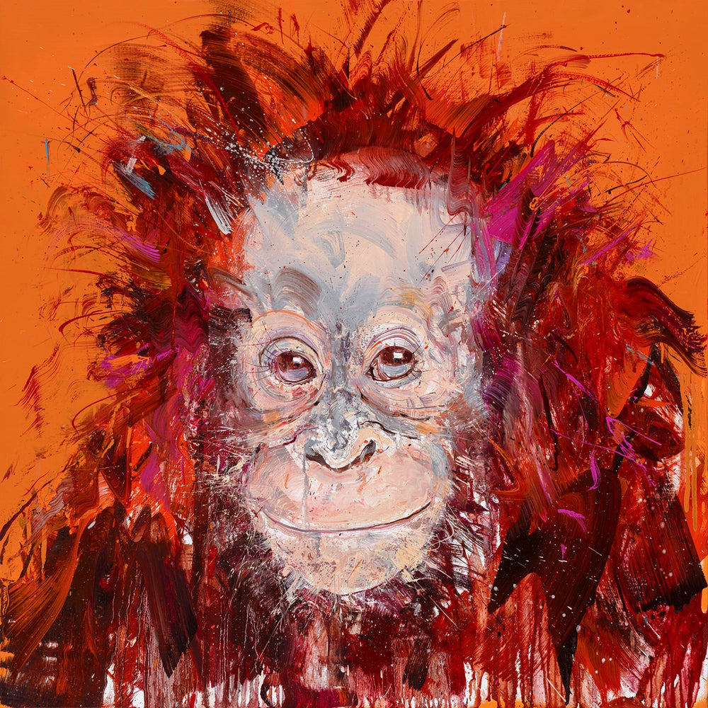 Young Orangutan II