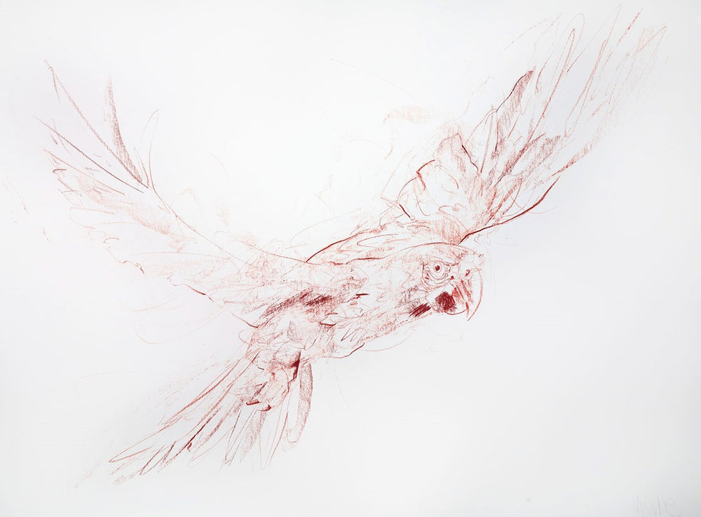 Flight Study II