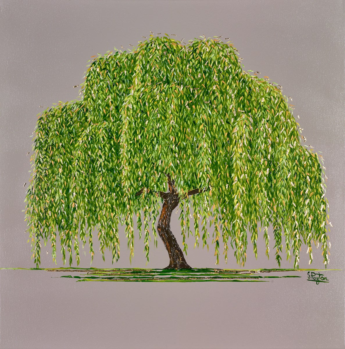 Willow