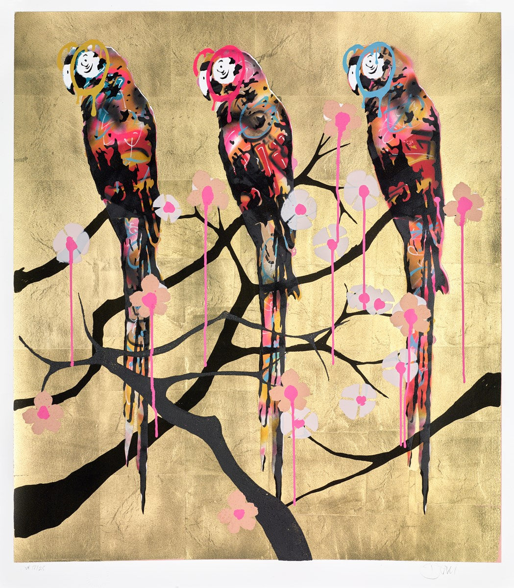 Polly Folly 17/25