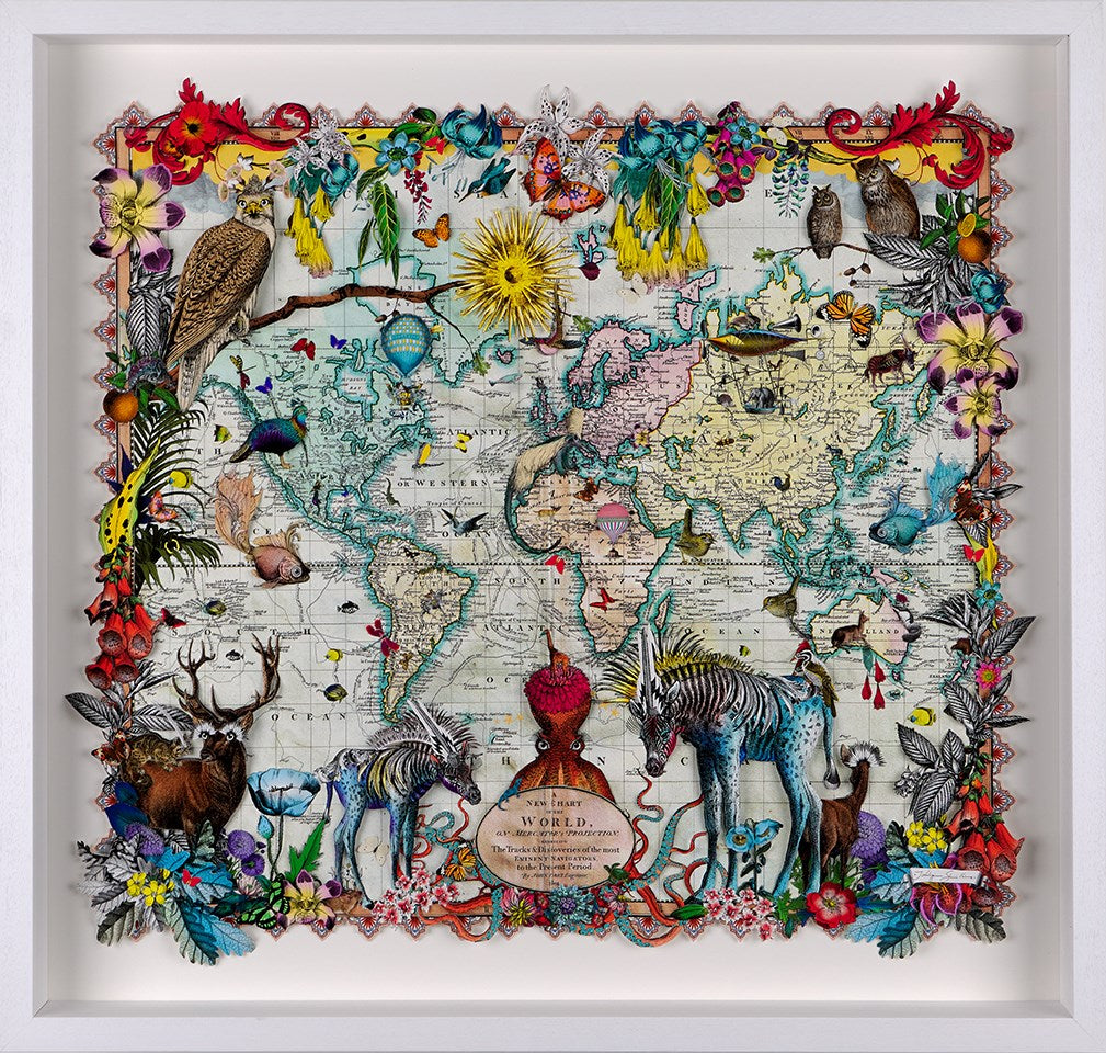Navigators Hybrid 3D - Zebra Discoveries of the world (large)