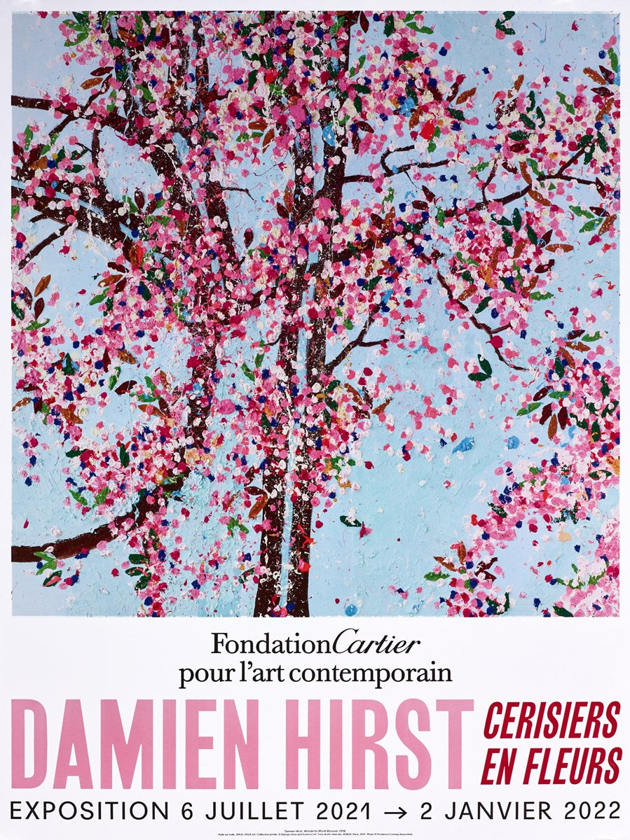 Cherry Blossoms IV
