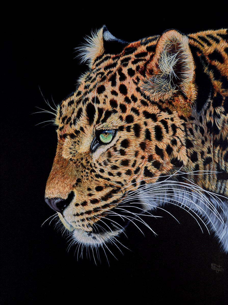 Leopard