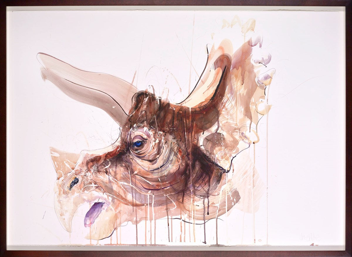 Triceratops