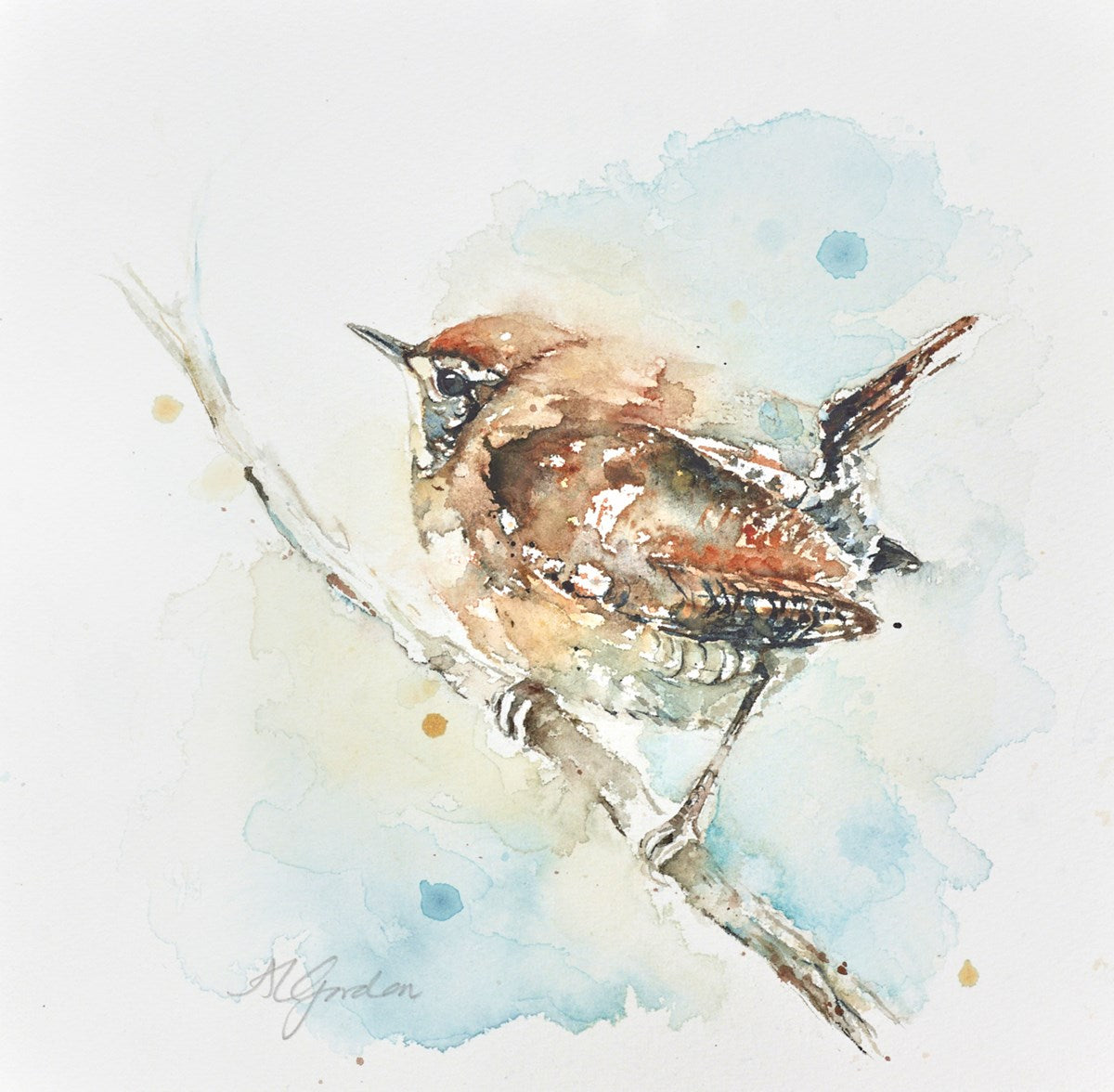 Mini Wren
