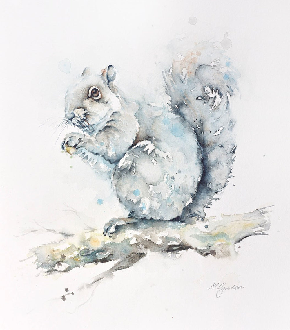 Feeding Grey Squirrel