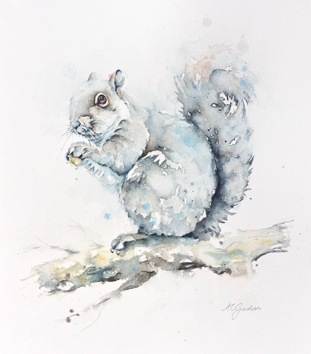 Feeding Grey Squirrel