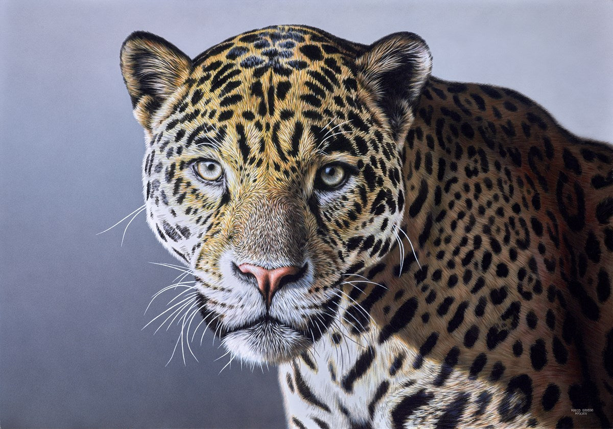 Leopard II