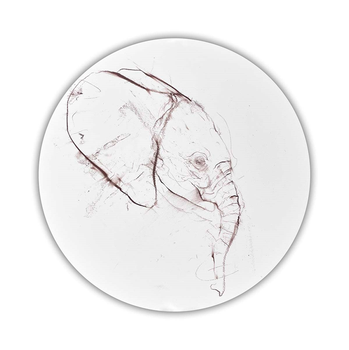 Elephant Study V