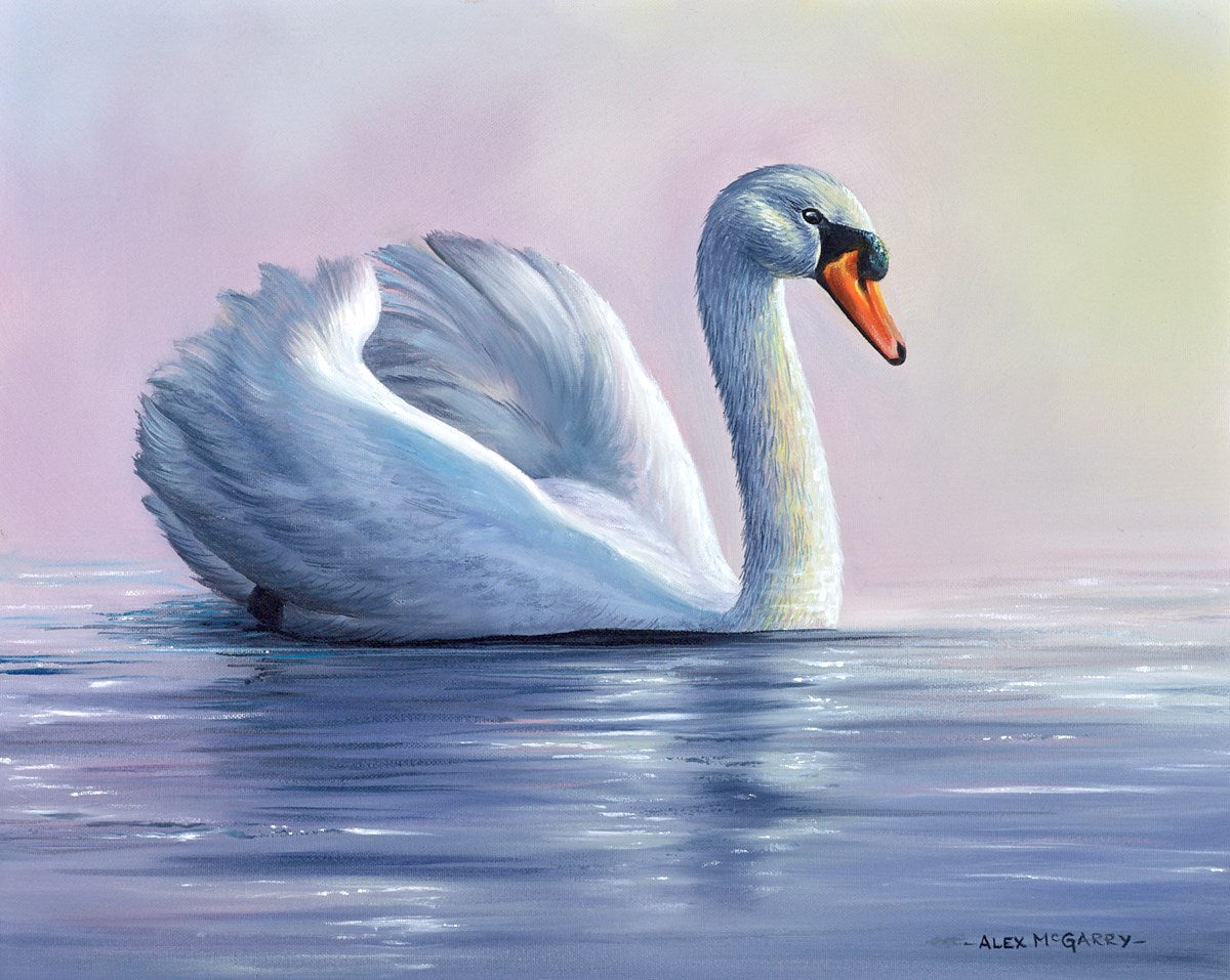 Swan