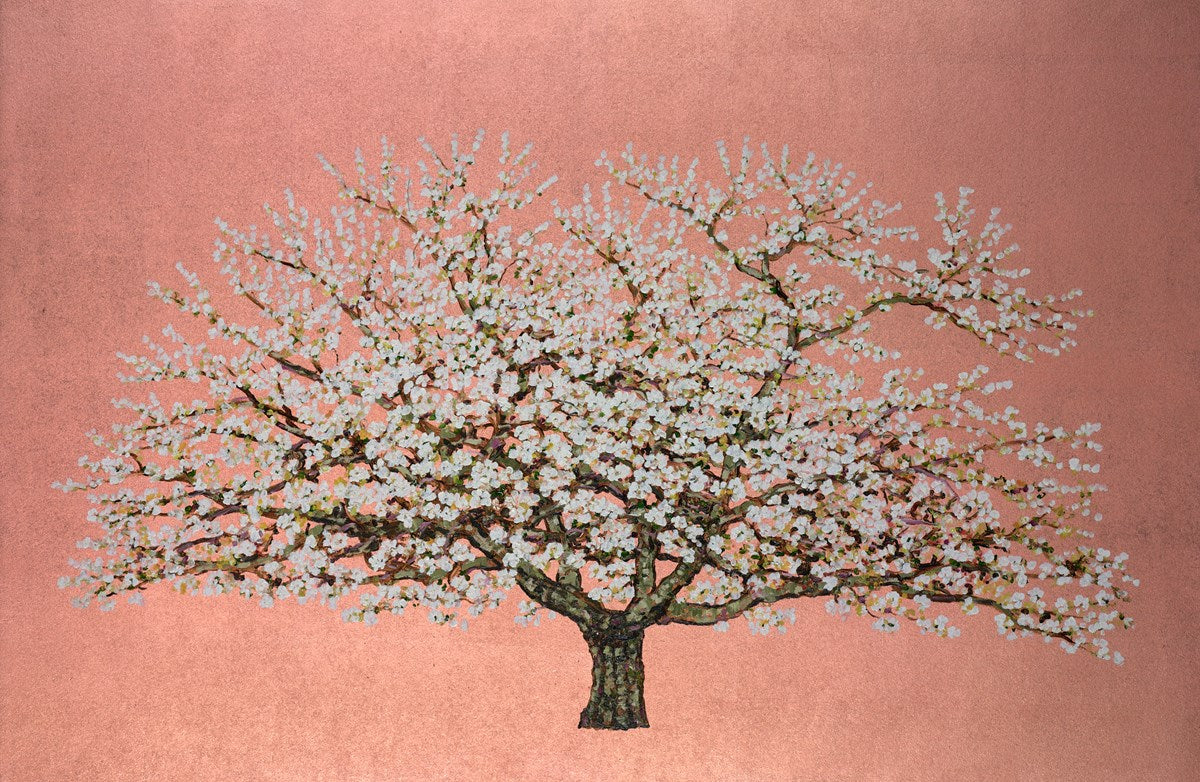Pear Blossom