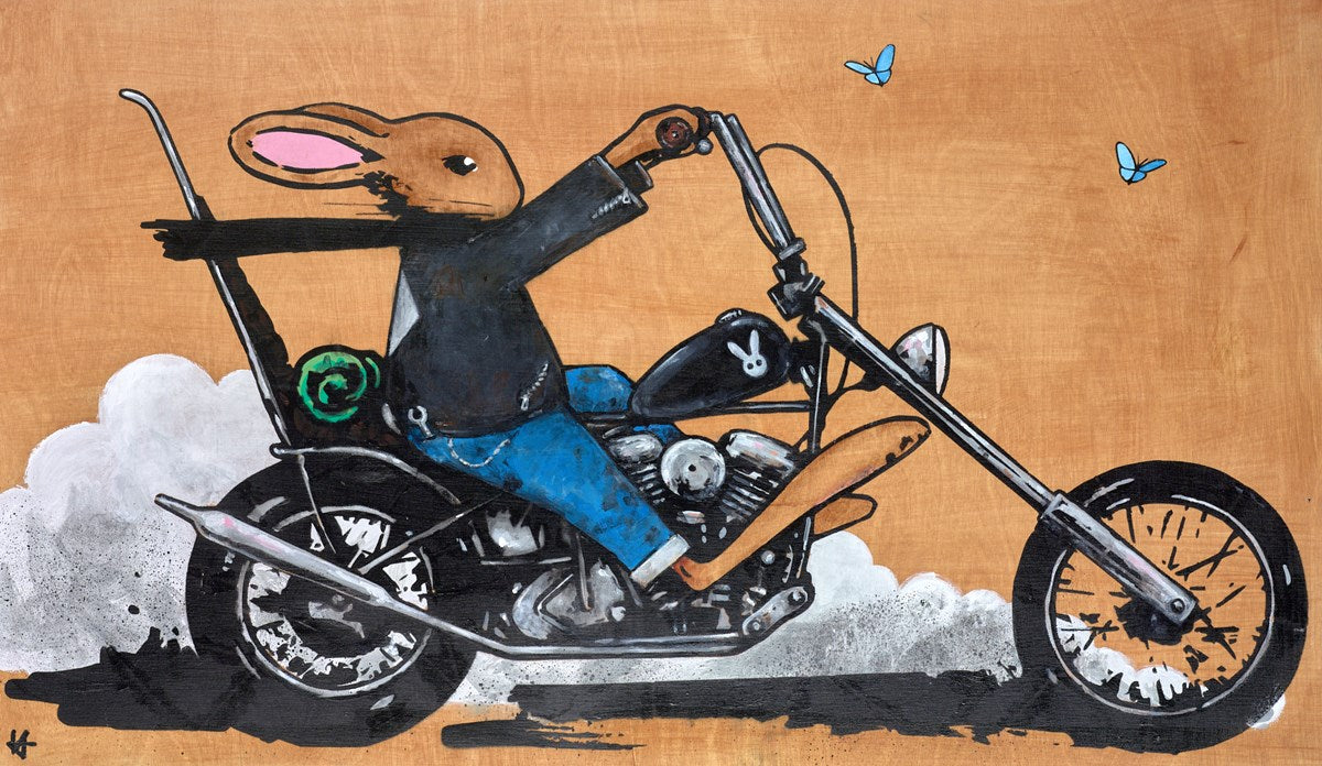 The Wild One ?