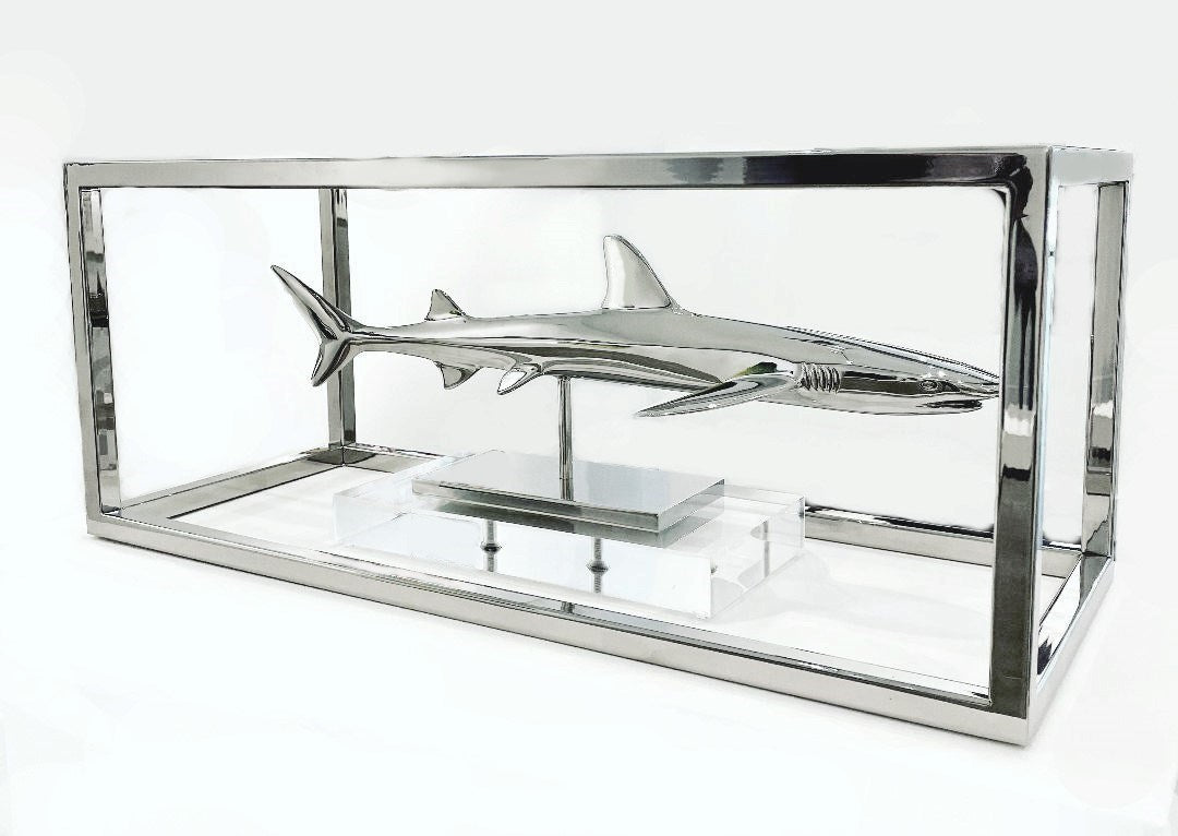 White Tip Shark
