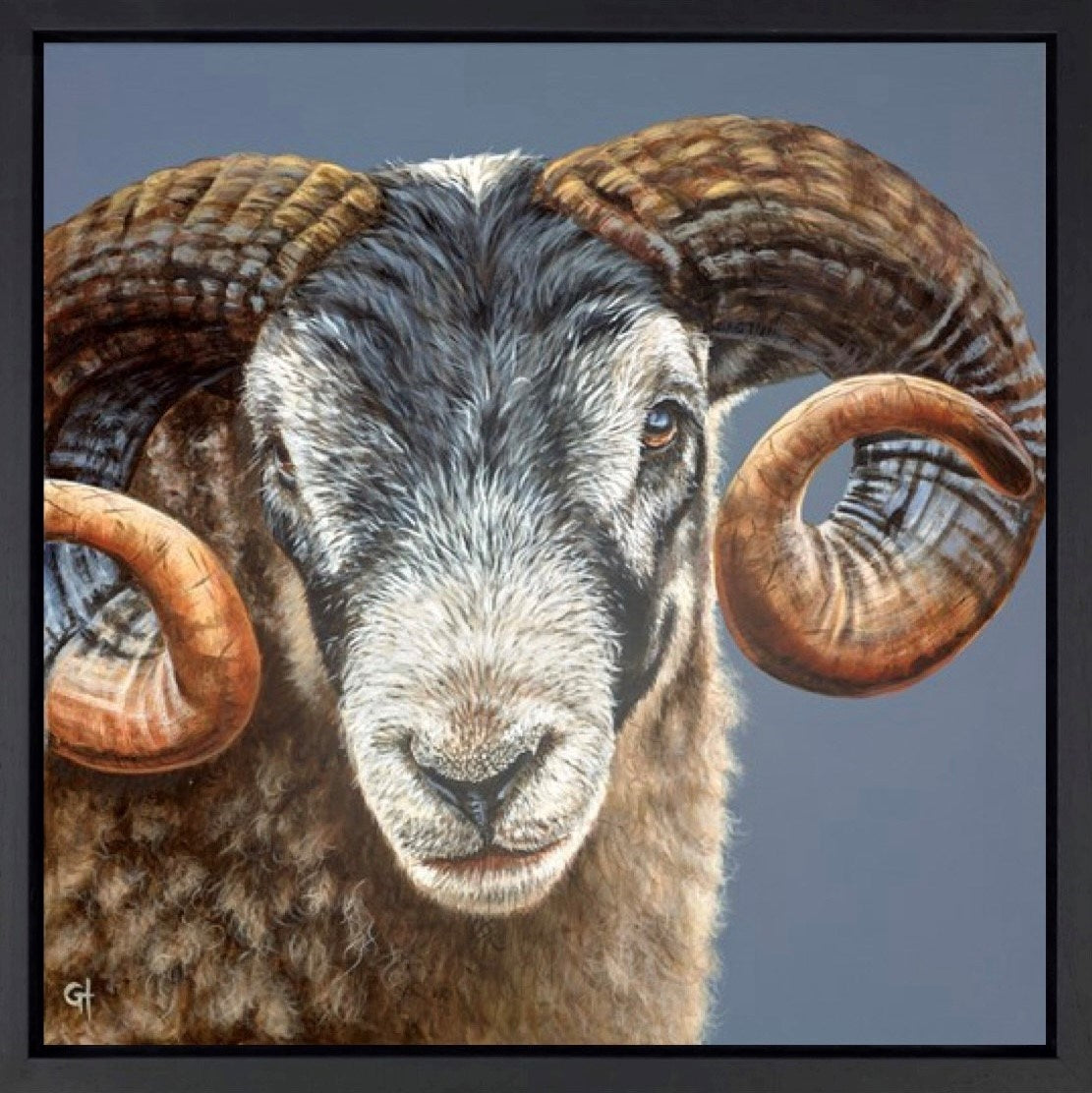 A Ram's Identity (Framed)