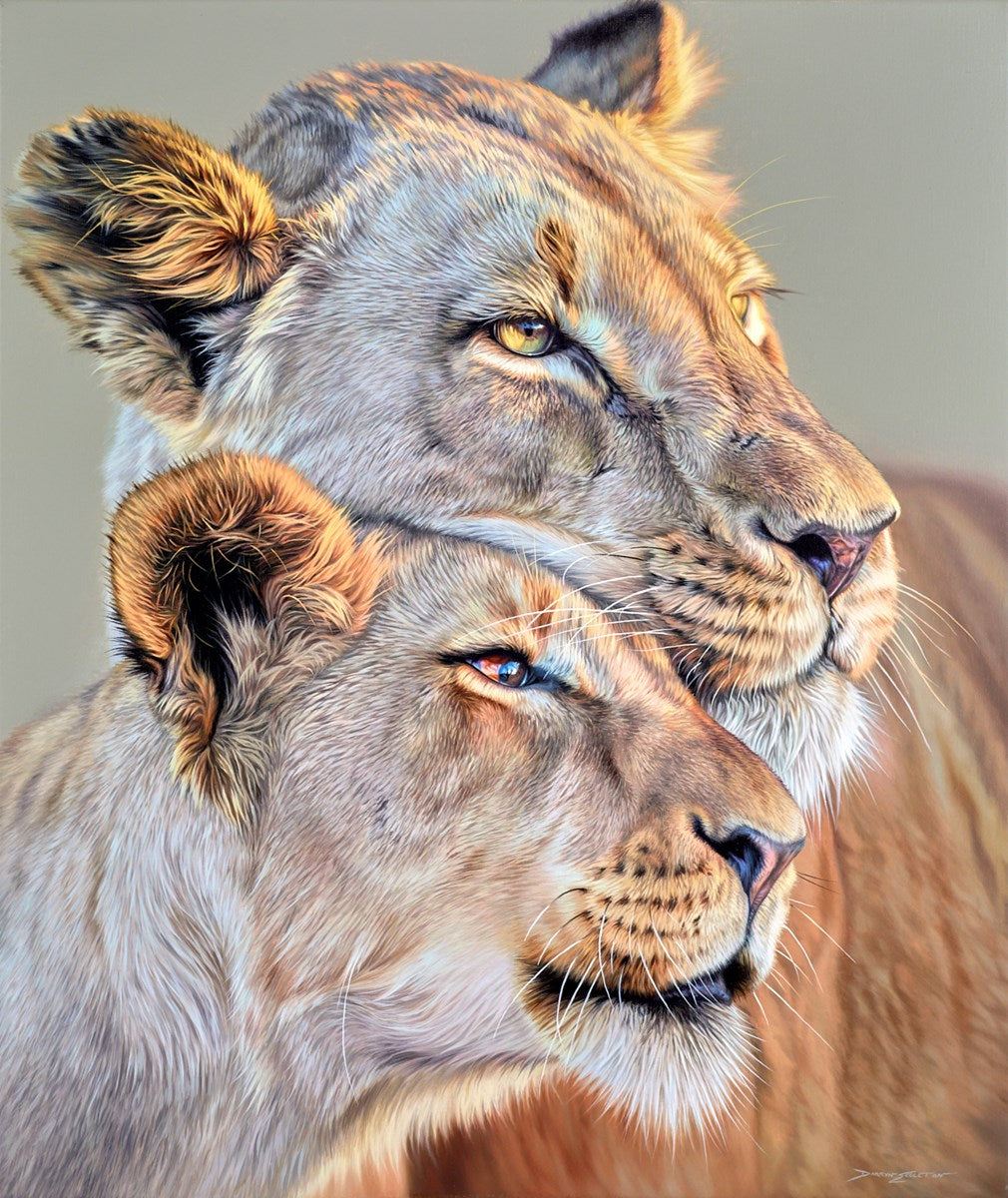Tough & Tender